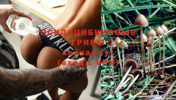 первитин Дмитров
