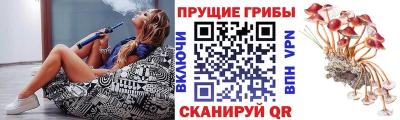 Псилоцибиновые грибы GOLDEN TEACHER  Менделеевск 